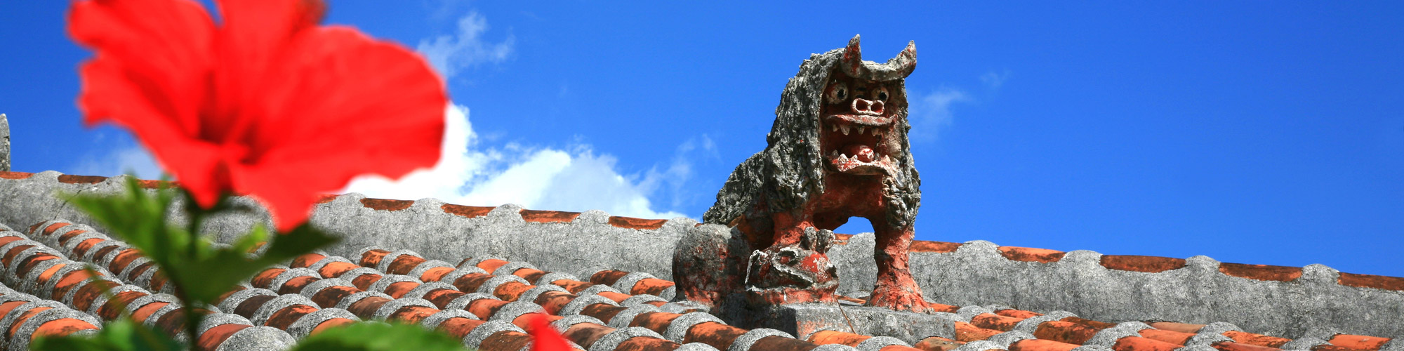 イメージ イメージ